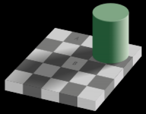 grey_square_optical_illusion.svg.png